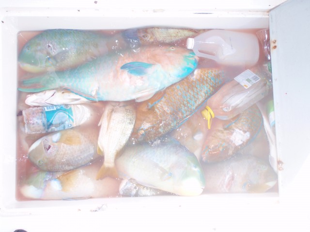 the afternoon the afternoon